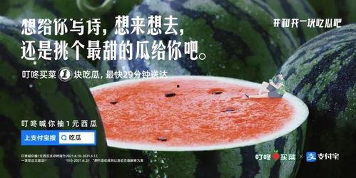 娱乐圈文案吃瓜,揭秘明星们的“吃瓜”大作战